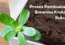Mengulik Proses Pembuatan Brownies Krokot Kukus (Brokotkus)